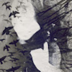 Meet your Posher, Loretta